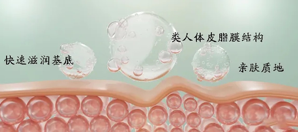 揭秘尖端生物科技:植物仿生皮脂,模擬細(xì)胞間脂質(zhì)功效,修護(hù)皮膚屏障,強(qiáng)韌肌膚!